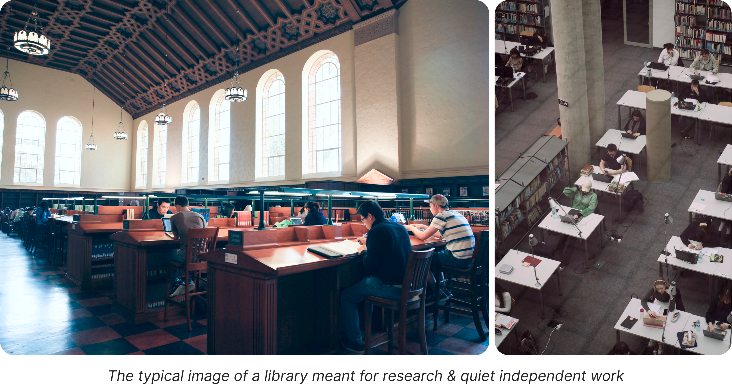 Typical image of a library meant for research & quiet independent work